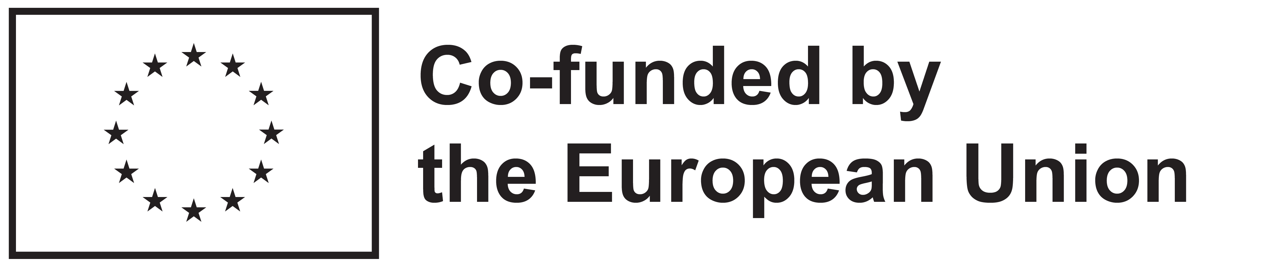 EN Co-Funded by the EU_BLACK Outline